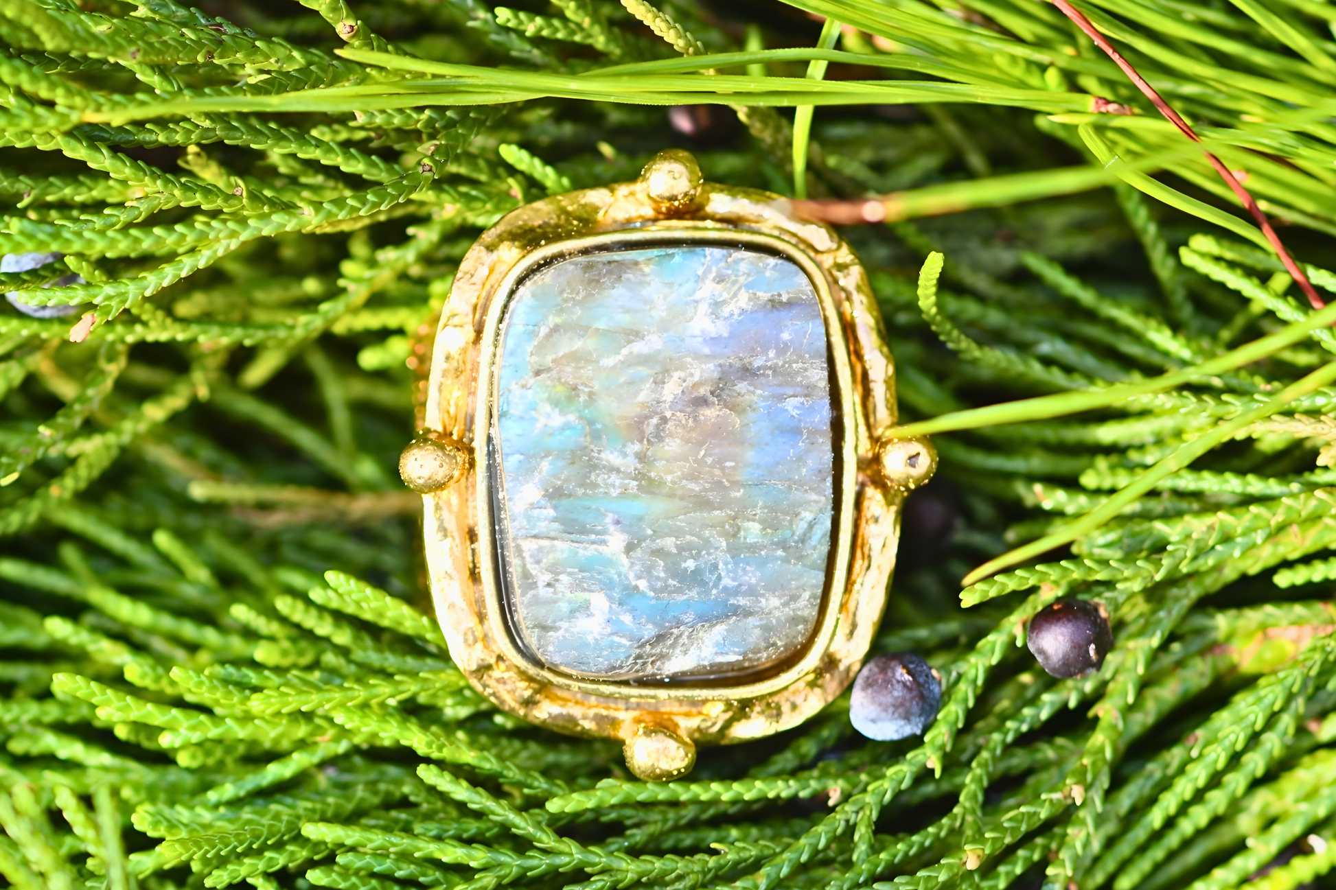 Gold ring with a large gemstone on a green leafy background