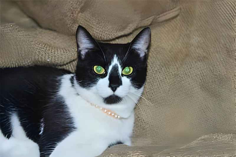 Pricilla's Pearls