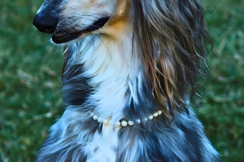 Pricilla's Pearls