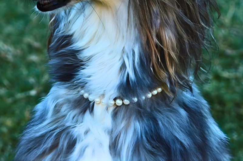 Pricilla's Pearls