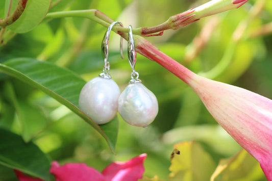 Tiffany White image 0