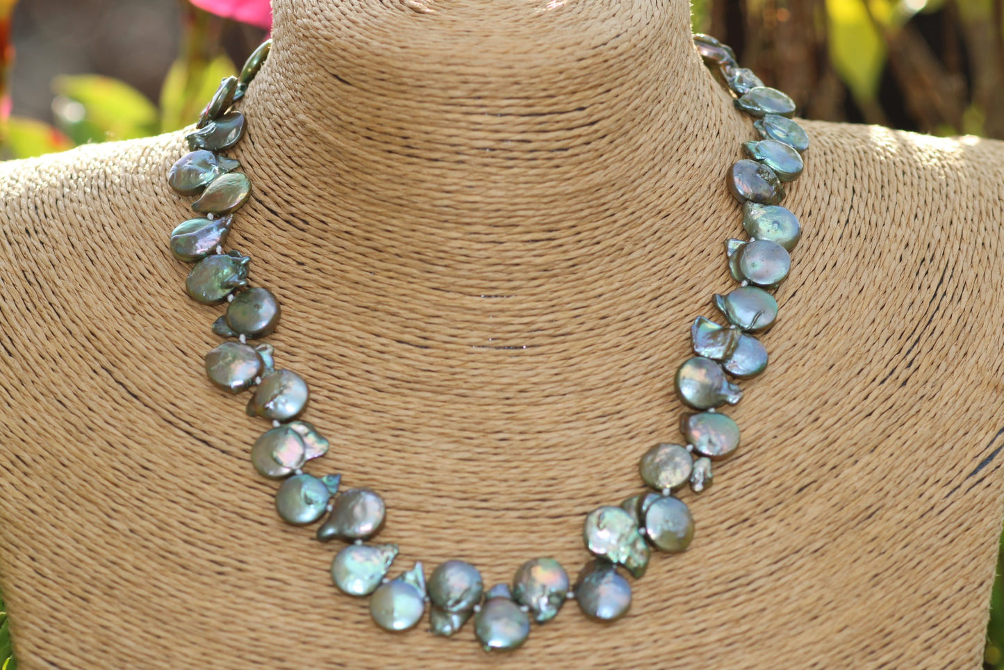 Paloma - Sage image
